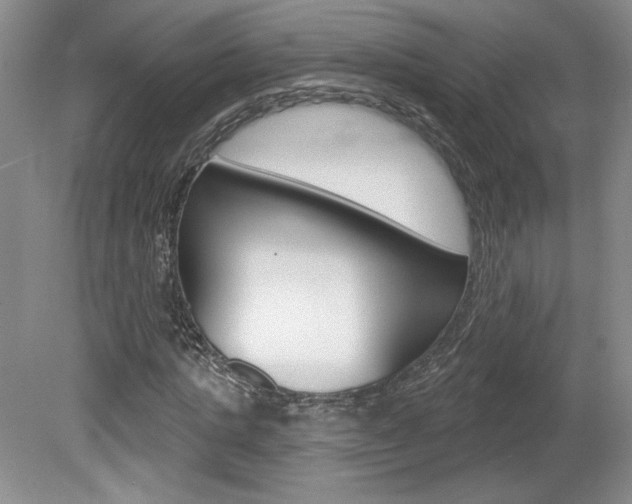 X0000080100821200612080927