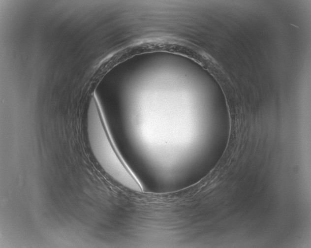 X0000080100822200612080927