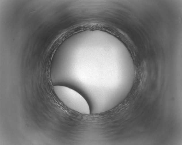 X0000080100823200612080927