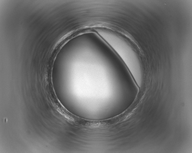 X0000080100826200612080927