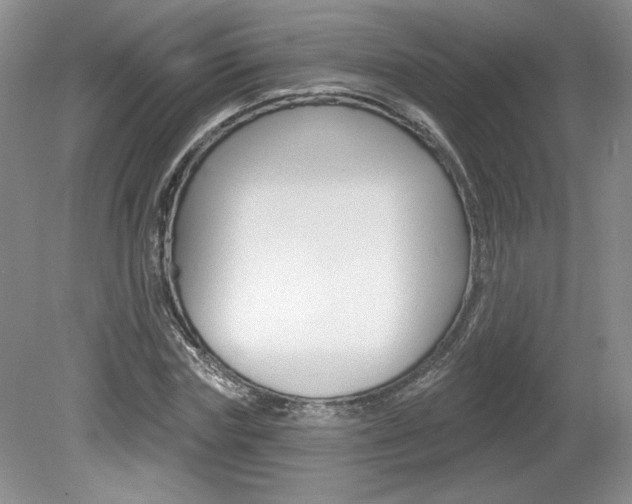 X0000080100827200612080927