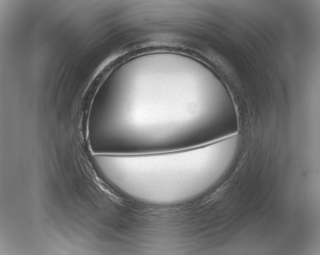 X0000080100830200612080927