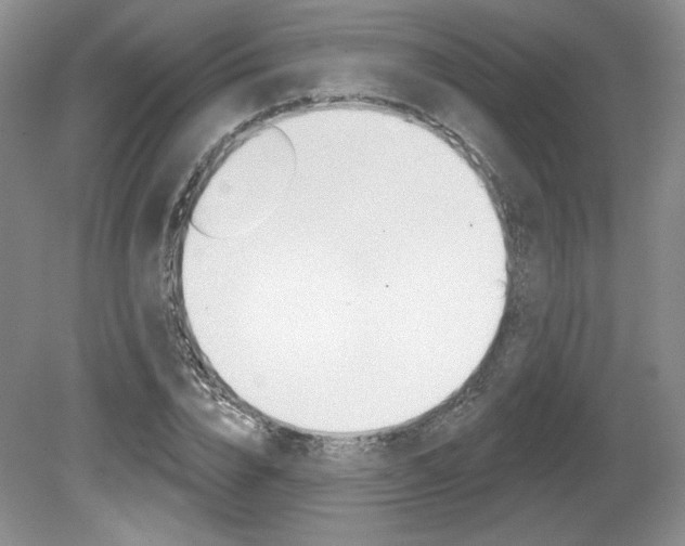 X0000080100832200612080927