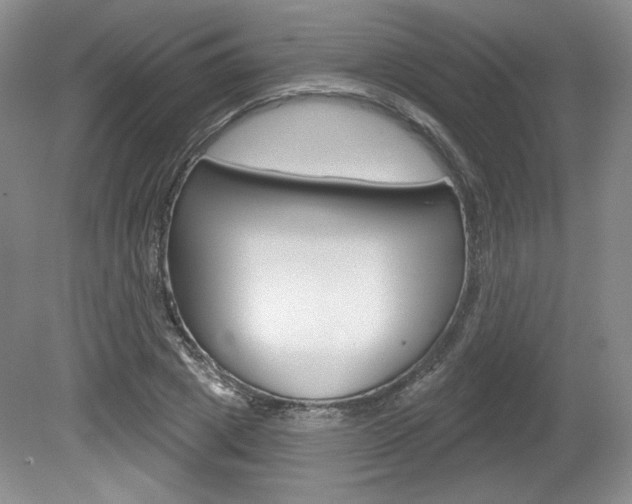 X0000080100833200612080927