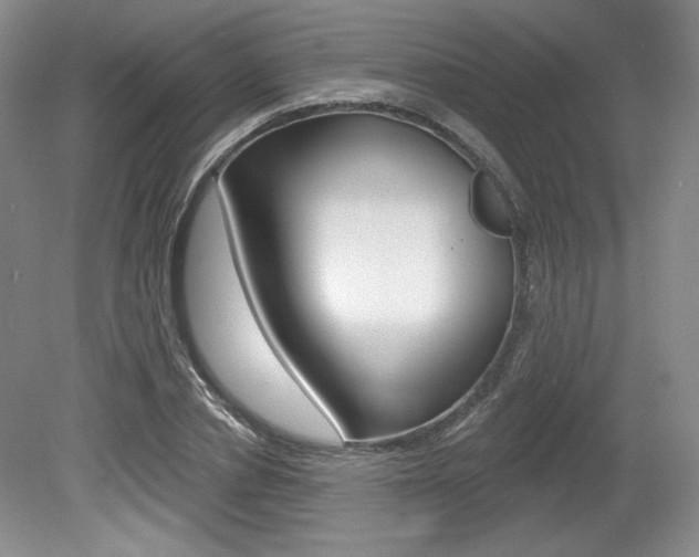 X0000080100834200612080927