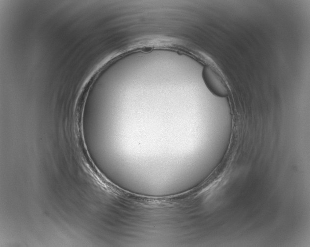 X0000080100835200612080927