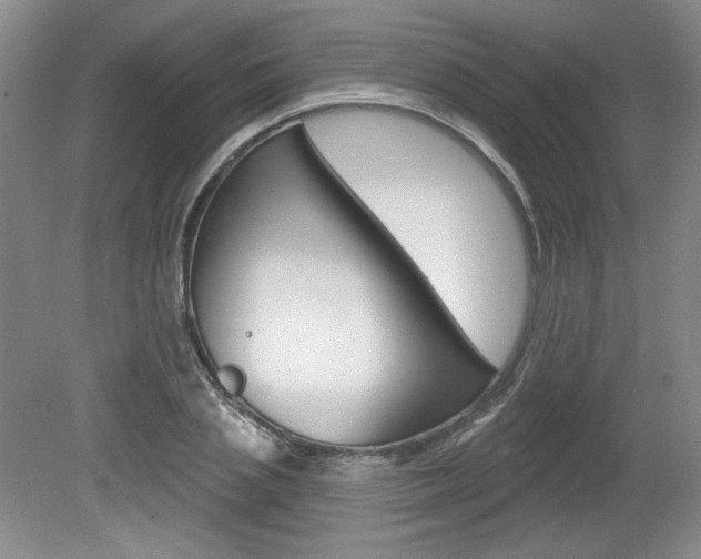 X0000080100837200612080927