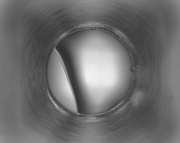 X0000080100841200612080927
