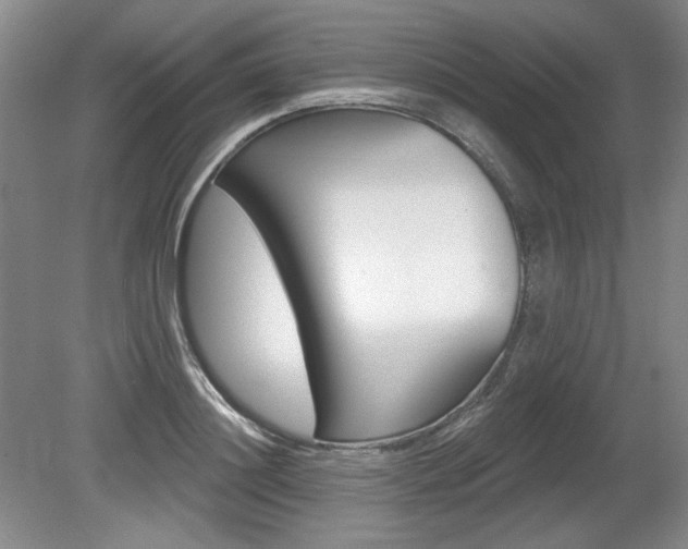 X0000080100844200612080927