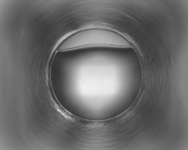 X0000080100846200612080927