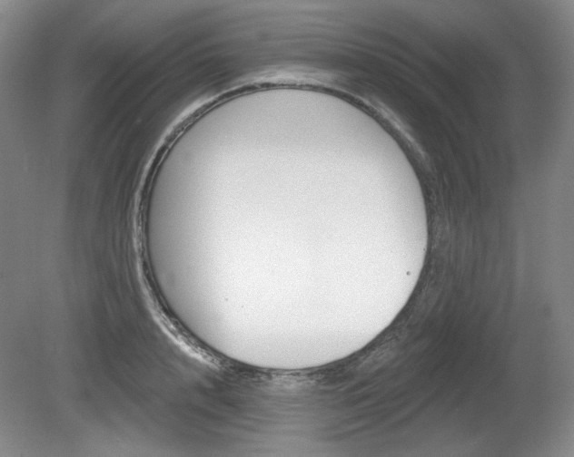 X0000080100848200612080927