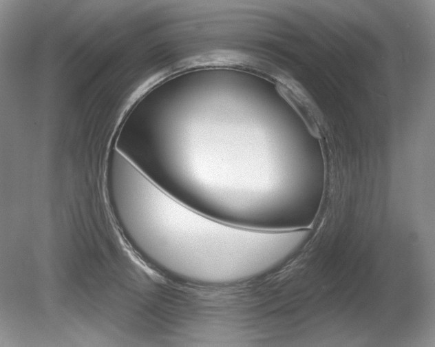 X0000080100850200612080927