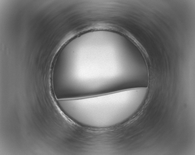 X0000080100853200612080927