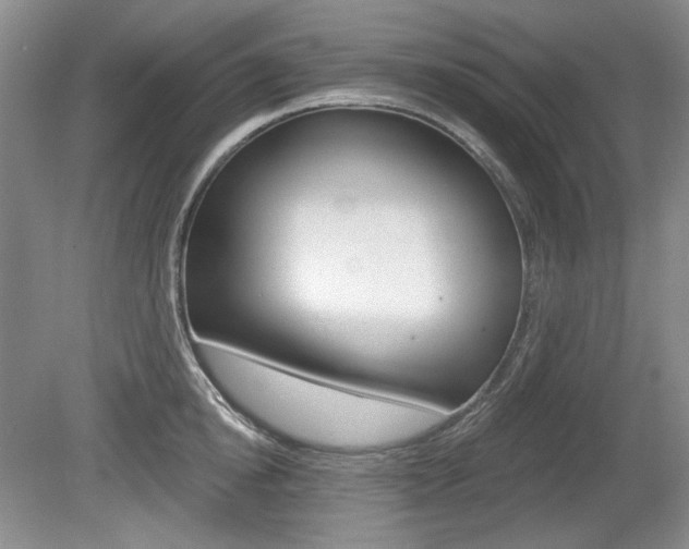 X0000080100854200612080927