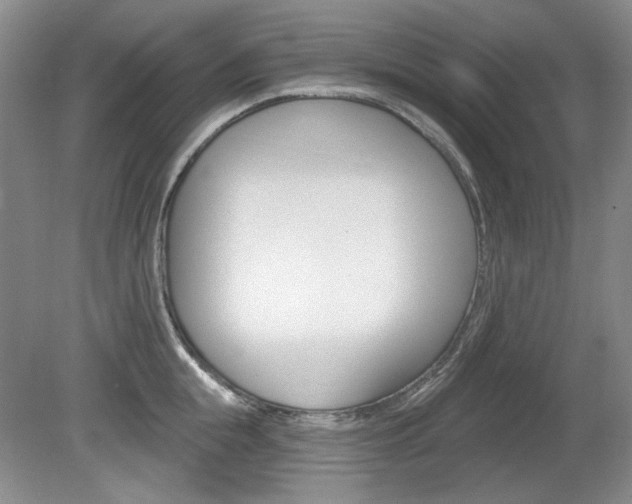 X0000080100855200612080927