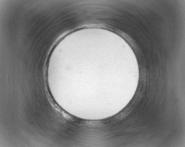 X0000080100856200612080927