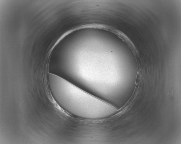 X0000080100860200612080927