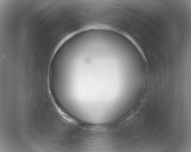 X0000080100861200612080928