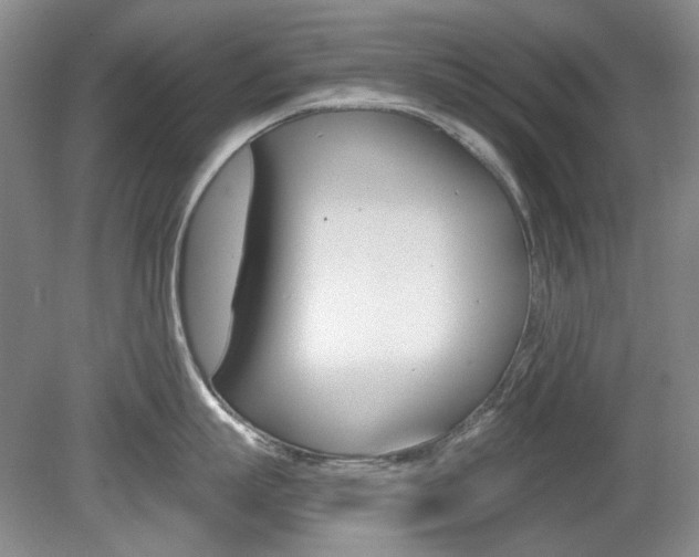 X0000080100863200612080928