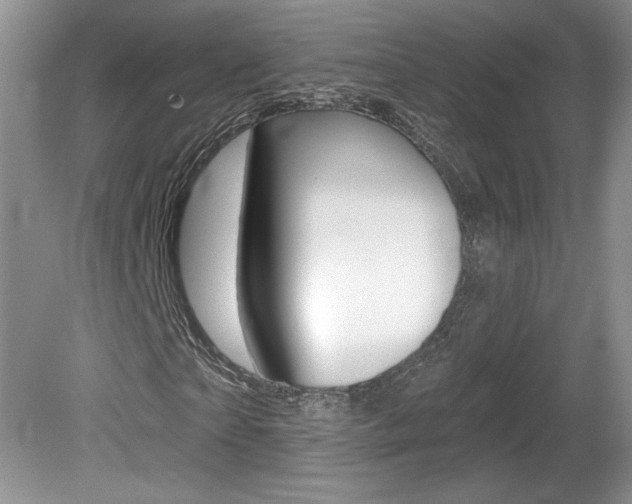 X0000080100865200612080927