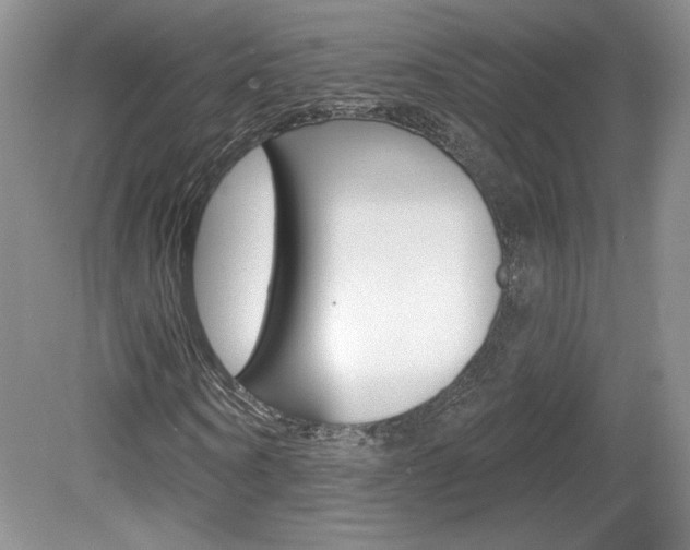 X0000080100866200612080927