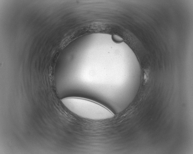 X0000080100867200612080927