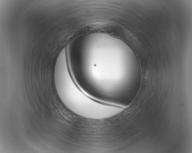 X0000080100868200612080927