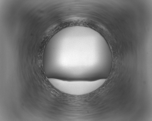 X0000080100869200612080927