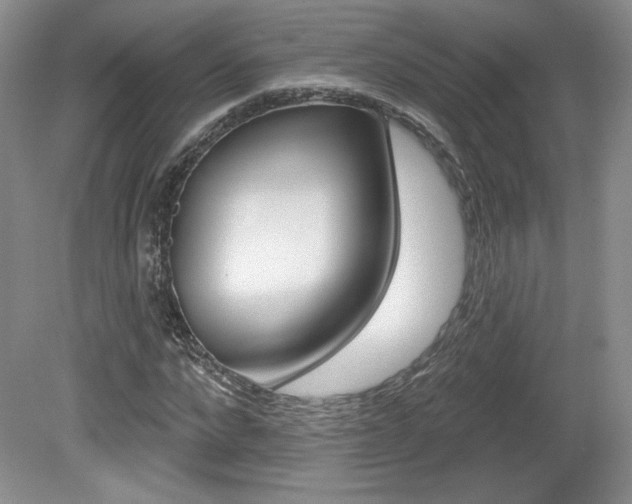 X0000080100872200612080927