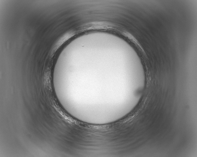 X0000080100874200612080927