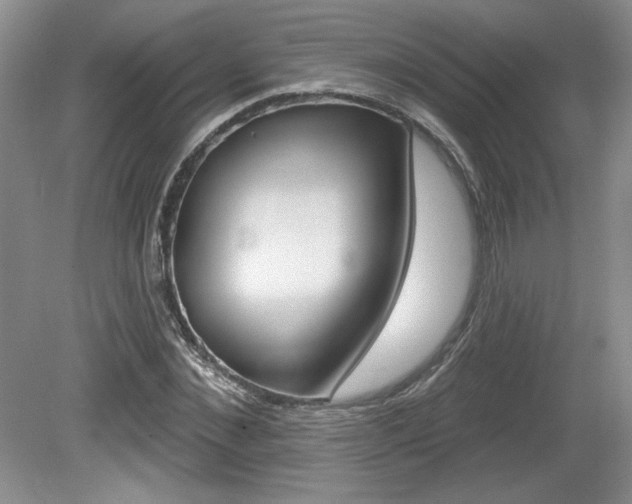 X0000080100876200612080927