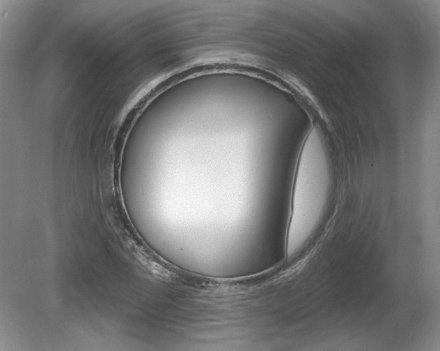 X0000080100877200612080927