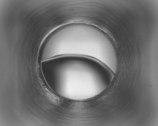 X0000080100880200612080926