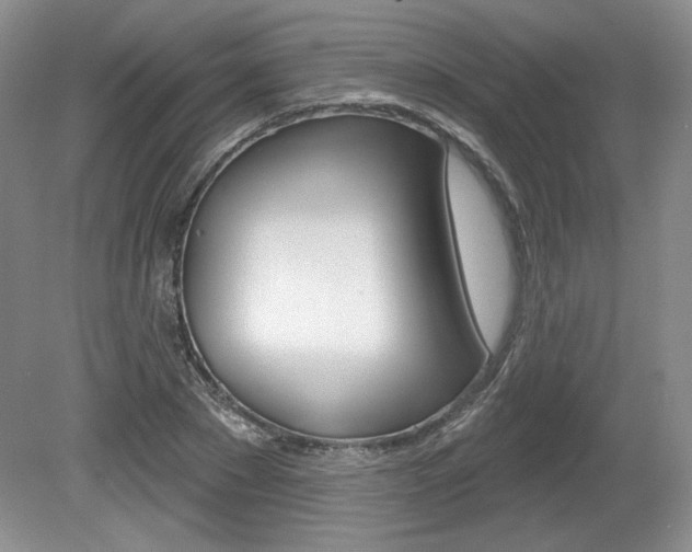 X0000080100881200612080926