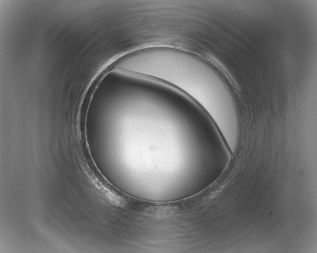 X0000080100884200612080926