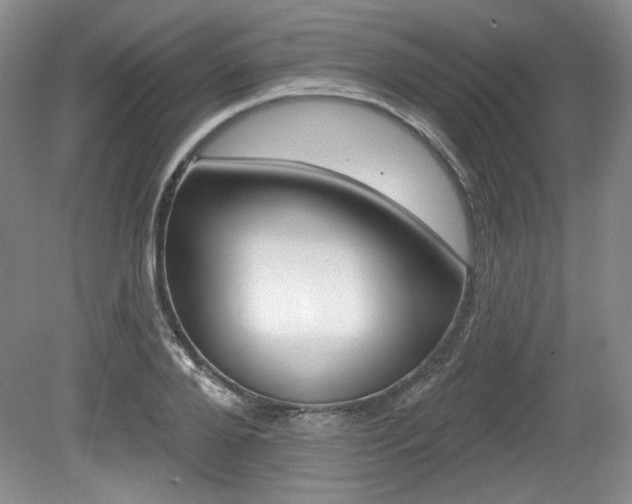 X0000080100888200612080926