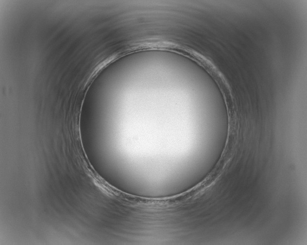 X0000080100889200612080926
