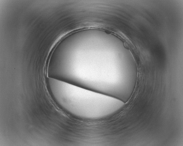 X0000080100891200612080926