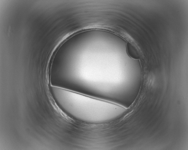 X0000080100892200612080926