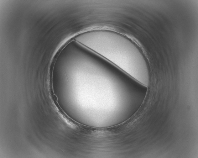 X0000080100894200612080926