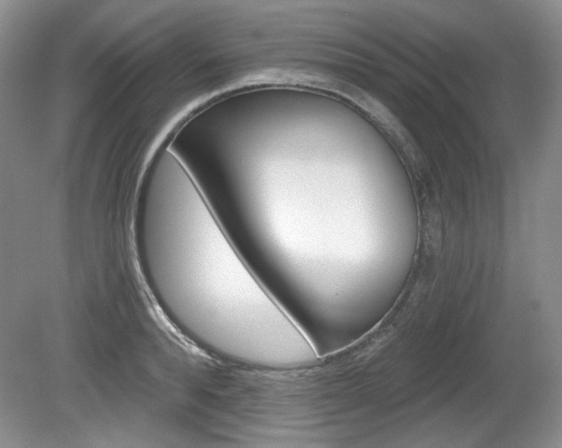 X0000080100896200612080926