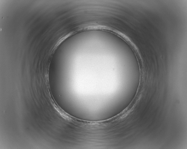 X0000080100897200612080926