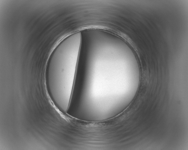 X0000080100898200612080926