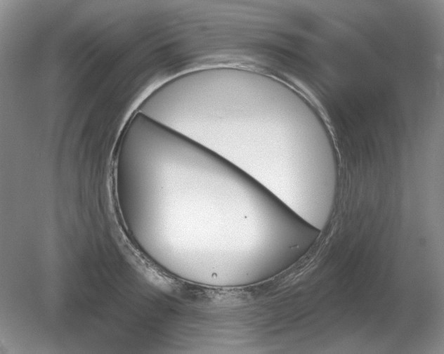 X0000080100899200612080926