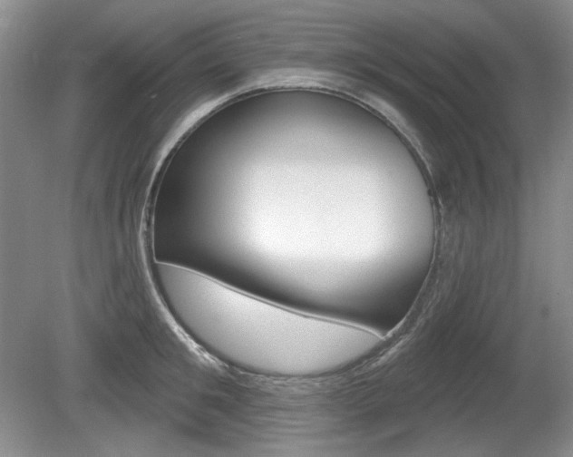 X0000080100901200612080926