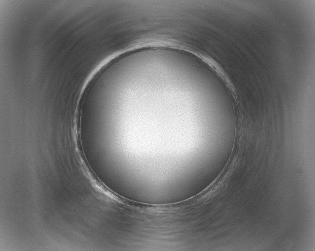 X0000080100904200612080926