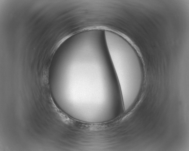 X0000080100905200612080926