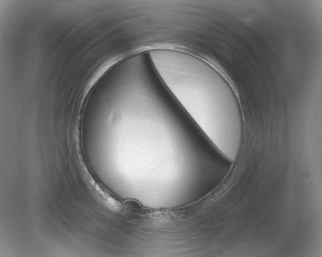 X0000080100906200612080926