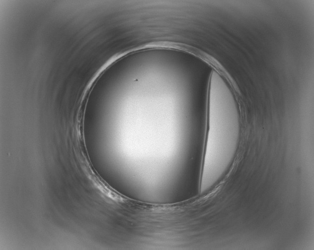 X0000080100908200612080926