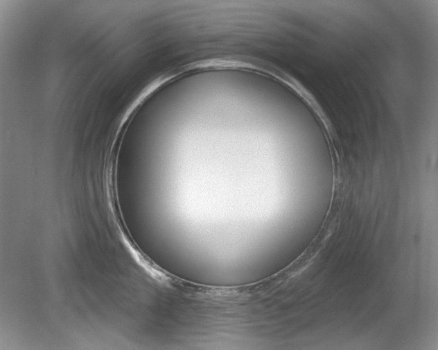 X0000080100909200612080926